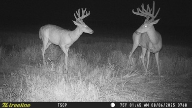 An 80.4-acre property just outside of Chase, KS, featuring a mix - photo 15