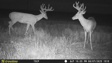An 80.4-acre property just outside of Chase, KS, featuring a mix - photo 16