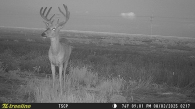 An 80.4-acre property just outside of Chase, KS, featuring a mix - photo 17