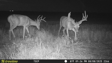 An 80.4-acre property just outside of Chase, KS, featuring a mix - photo 18