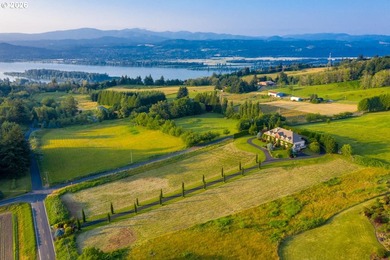 La Villa is a Georgian Farmhouse designed with rigorous - photo 20