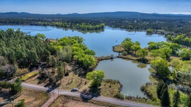 Lake Lot For Sale in Lakeside, Arizona