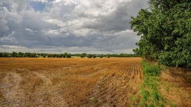 An 80.4-acre property just outside of Chase, KS, featuring a mix - photo 23