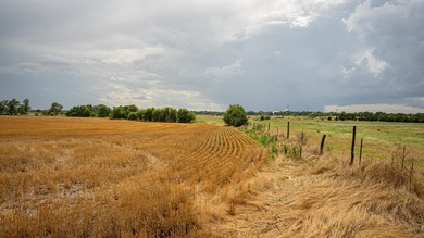 An 80.4-acre property just outside of Chase, KS, featuring a mix - photo 24