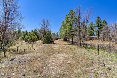 Rare Lakefront Property in the White Mountains - Approx. 15 - photo 4