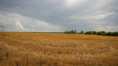 An 80.4-acre property just outside of Chase, KS, featuring a mix - photo 25