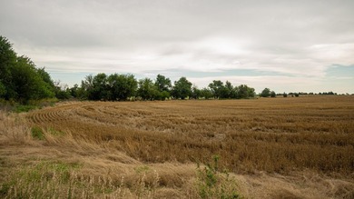 An 80.4-acre property just outside of Chase, KS, featuring a mix - photo 26