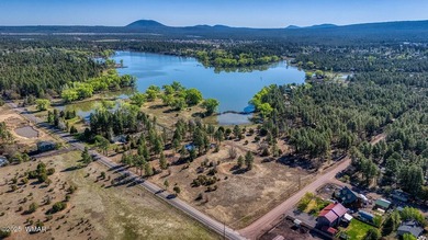 Rare Lakefront Property in the White Mountains - Approx. 15 - photo 6