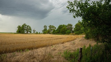 An 80.4-acre property just outside of Chase, KS, featuring a mix - photo 27