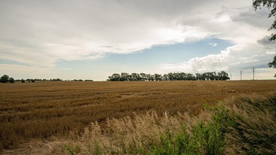 An 80.4-acre property just outside of Chase, KS, featuring a mix - photo 28