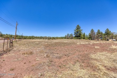 Rare Lakefront Property in the White Mountains - Approx. 15 - photo 9
