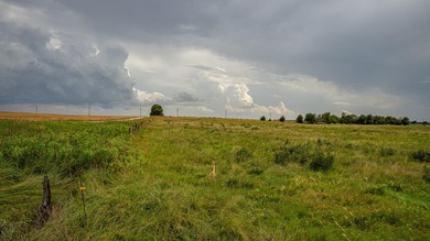 An 80.4-acre property just outside of Chase, KS, featuring a mix - photo 30