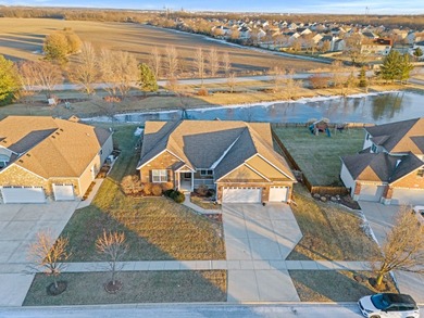 (private lake, pond, creek) Home For Sale in Minooka Illinois