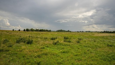 An 80.4-acre property just outside of Chase, KS, featuring a mix - photo 31