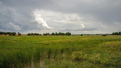 An 80.4-acre property just outside of Chase, KS, featuring a mix - photo 35