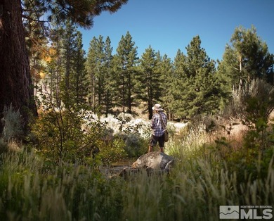 Clear Creek Tahoe is Northern Nevada's most exciting new - photo 36