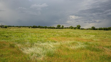 An 80.4-acre property just outside of Chase, KS, featuring a mix - photo 38