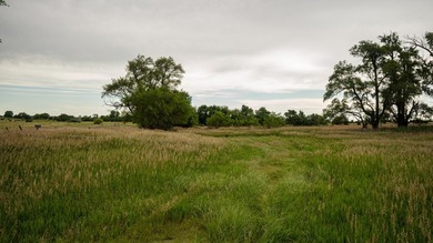 An 80.4-acre property just outside of Chase, KS, featuring a mix - photo 39