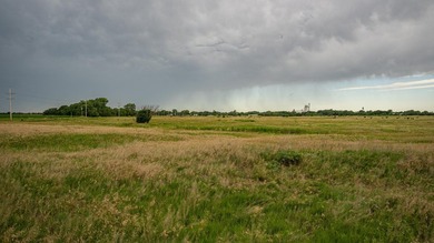 An 80.4-acre property just outside of Chase, KS, featuring a mix - photo 41