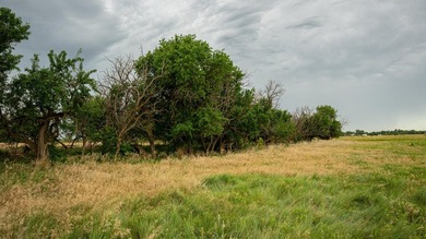 An 80.4-acre property just outside of Chase, KS, featuring a mix - photo 48