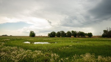 An 80.4-acre property just outside of Chase, KS, featuring a mix - photo 49