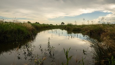 An 80.4-acre property just outside of Chase, KS, featuring a mix - photo 50