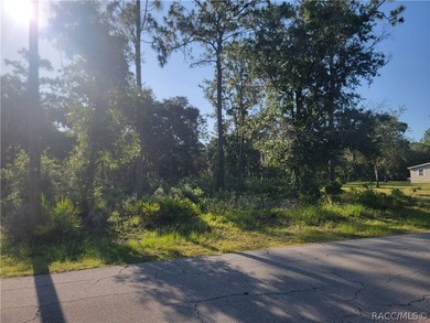 Fantastic opportunity to build your dream home on this spacious - photo 3