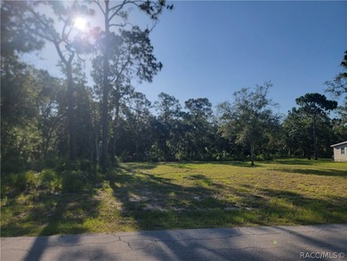 Fantastic opportunity to build your dream home on this spacious - photo 4