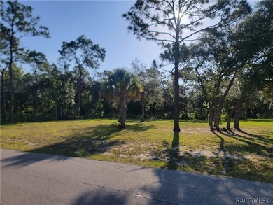 Fantastic opportunity to build your dream home on this spacious - photo 5