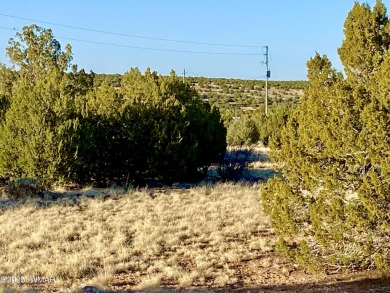 Lake Lot For Sale in Show Low, Arizona