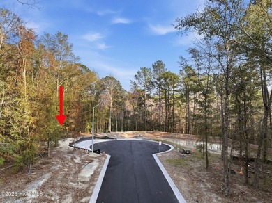 Enjoy the opportunity to own an oversized lot in a new community - photo 3
