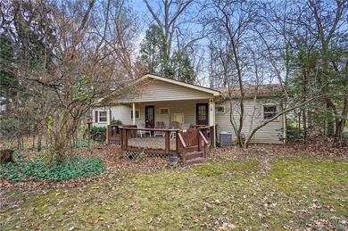 Pine Lake - Mahoning County Home For Sale in North Lima Ohio