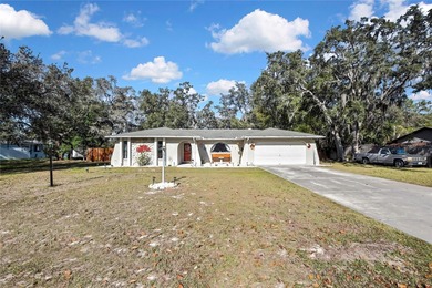 Greenbriar Lake Home For Sale in Spring Hill Florida