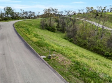 Partially Cleared Lakeview Lot - photo 5