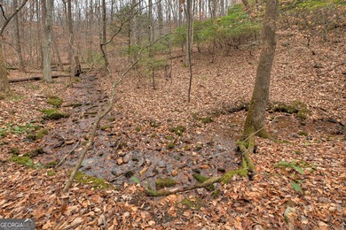 Lake Acreage For Sale in Ellijay, Georgia