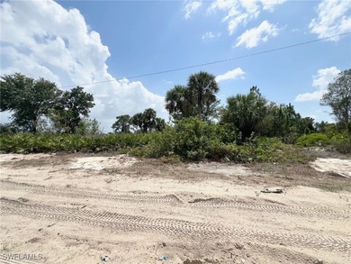 Lehigh Acres Area Lot For Sale in Lehigh Acres Florida