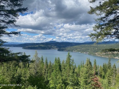 Lake Acreage For Sale in Harrison, Idaho