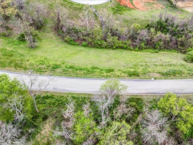 Partially Cleared Lakeview Lot - photo 7