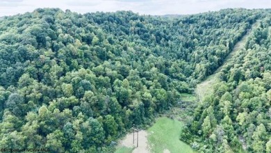  Acreage For Sale in Mannington West Virginia