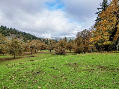 Overview Carlin Ranch presents a rare opportunity to acquire an - photo 9