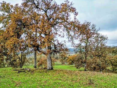 Overview Carlin Ranch presents a rare opportunity to acquire an - photo 10