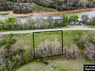 Partially Cleared Lakeview Lot - photo 11