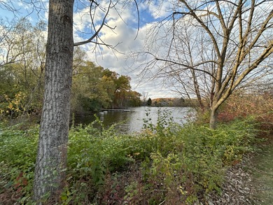 Lake Condo For Sale in Ann Arbor, Michigan