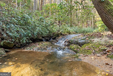 Lake Acreage For Sale in Dahlonega, Georgia