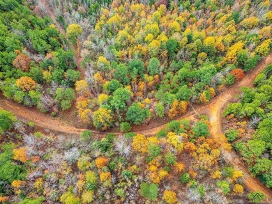 Gorgeous property with endless potential! 172 + acres up on the - photo 1