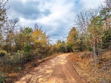 Gorgeous property with endless potential! 172 + acres up on the - photo 2
