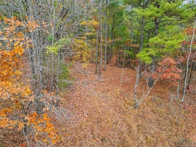 Gorgeous property with endless potential! 172 + acres up on the - photo 3