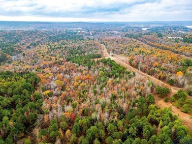 Gorgeous property with endless potential! 172 + acres up on the - photo 5