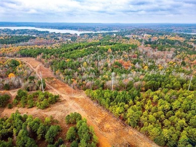 Gorgeous property with endless potential! 172 + acres up on the - photo 6