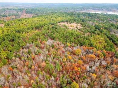 Gorgeous property with endless potential! 172 + acres up on the - photo 8